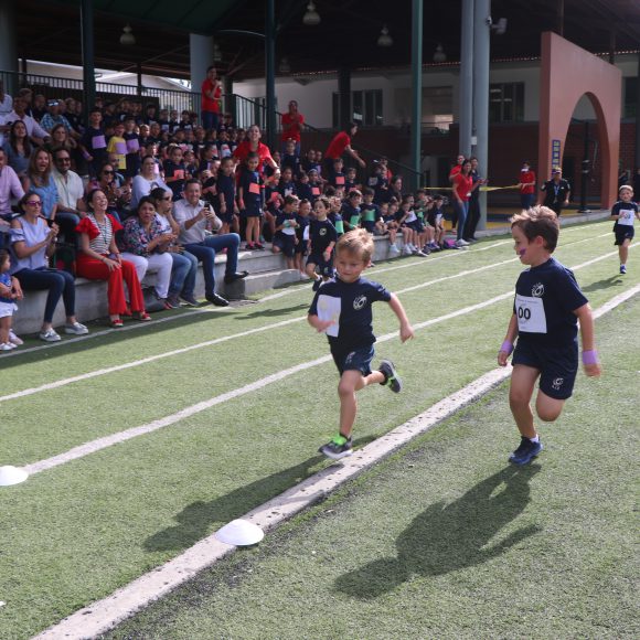 Mini Olimpiadas 2018