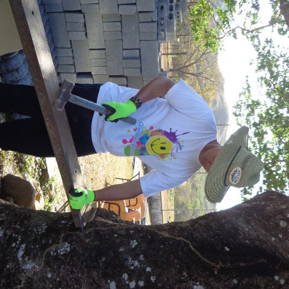 Servicio Social 2019