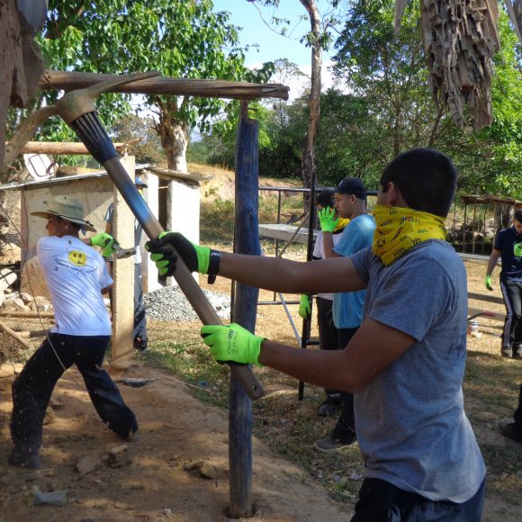 Servicio Social 2019