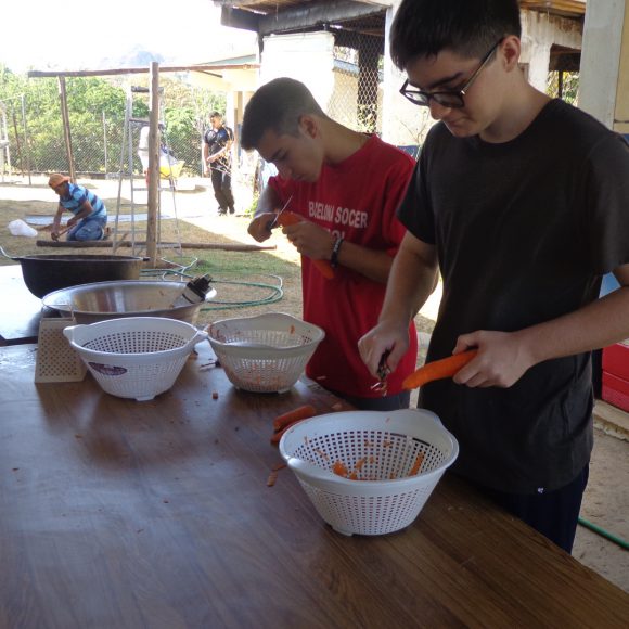 Servicio Social 2019