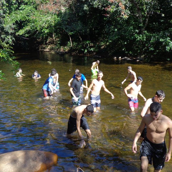 Servicio Social 2019