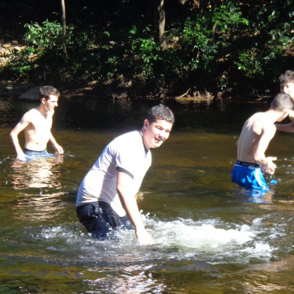 Servicio Social 2019