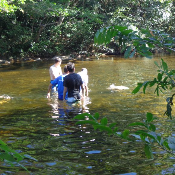 Servicio Social 2019