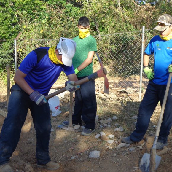 Servicio Social 2019