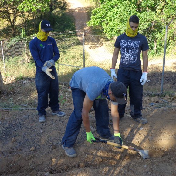 Servicio Social 2019