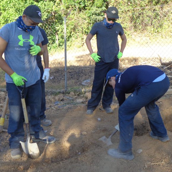 Servicio Social 2019