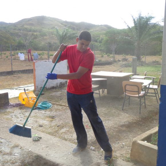 Servicio Social 2019