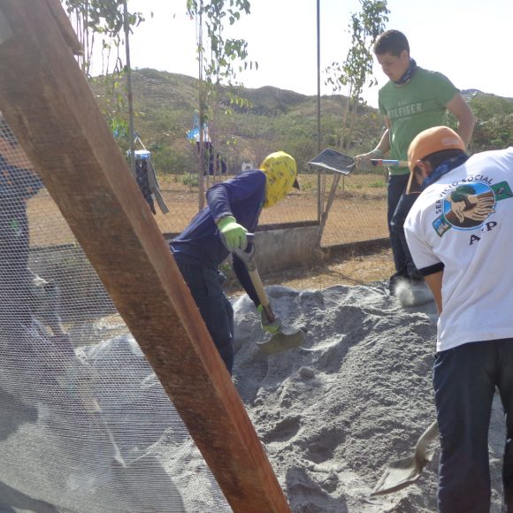 Servicio Social 2019