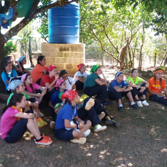 Servicio Social 2019