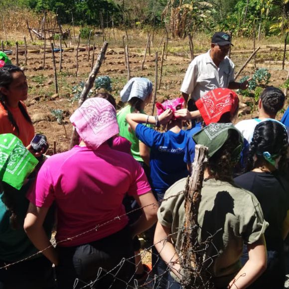 Servicio Social 2019