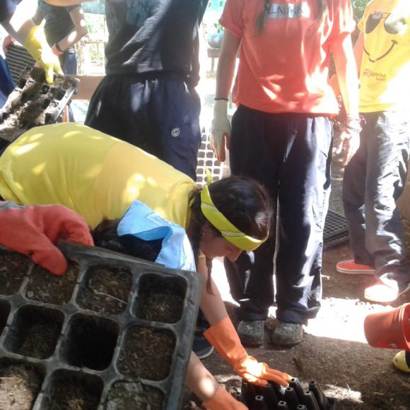 Servicio Social 2019