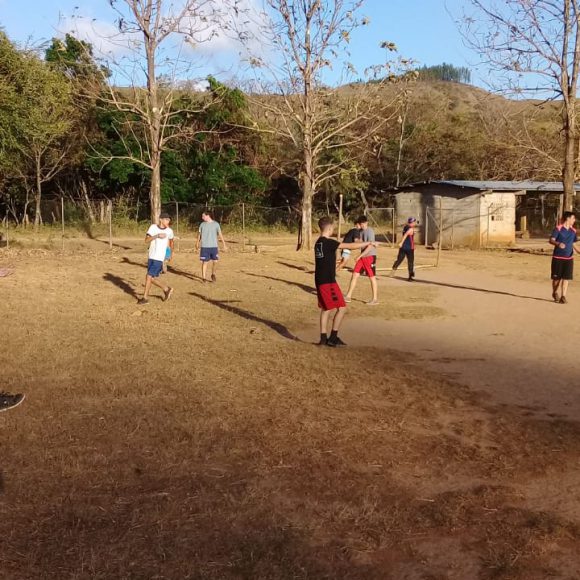 Servicio Social 2019