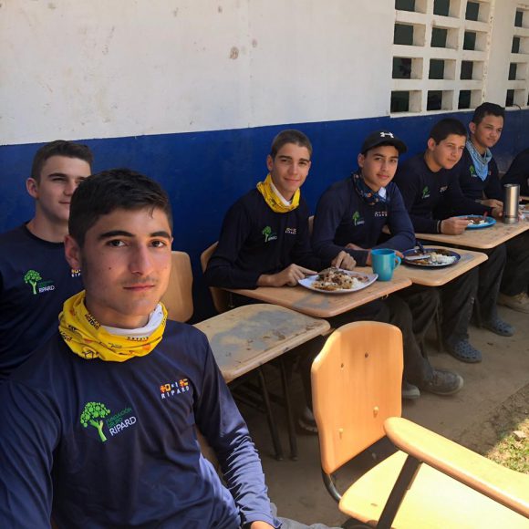 Servicio Social 2019