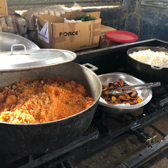 Servicio Social 2019