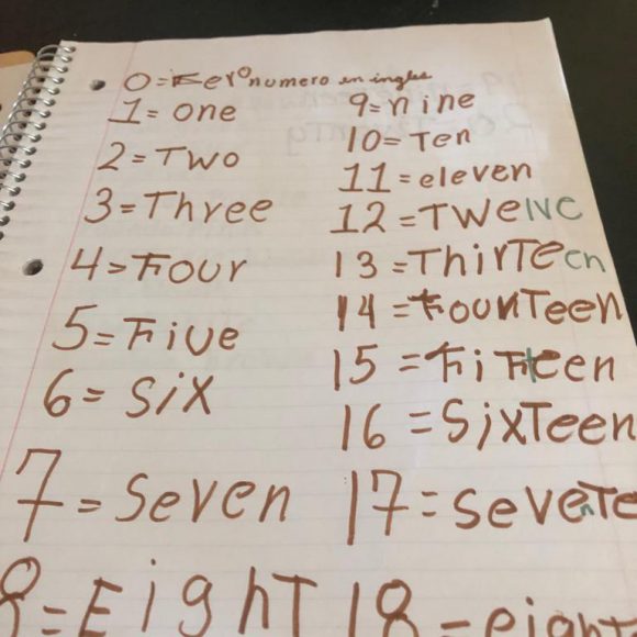 Servicio Social 2019