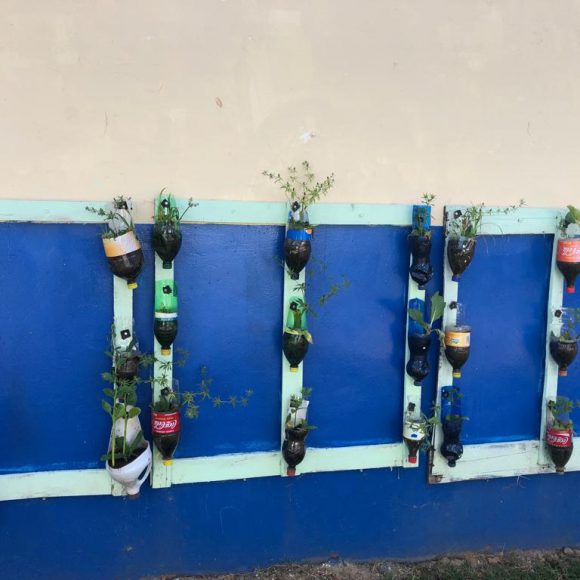 Servicio Social 2019