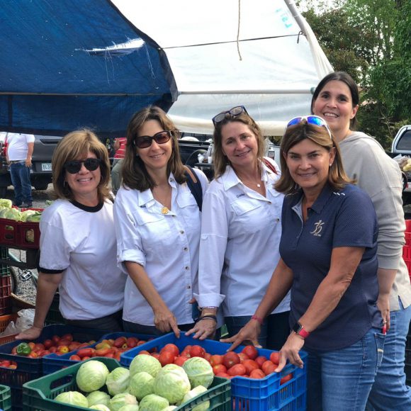 Servicio Social 2019