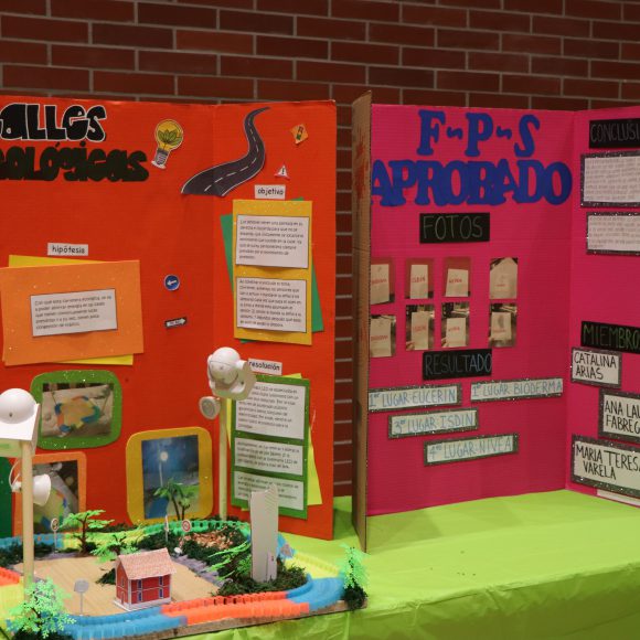 Science Fair 2019