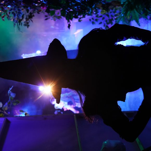 The Wizard Of Oz BLAST AIP